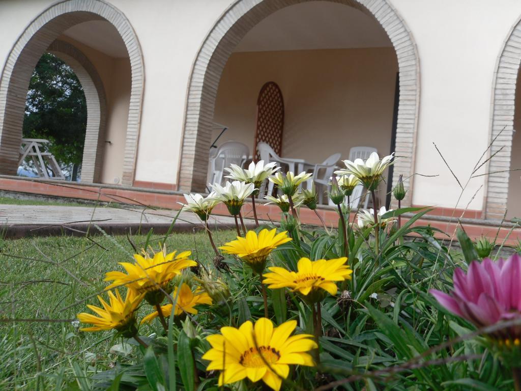 Apartment Il Giardino