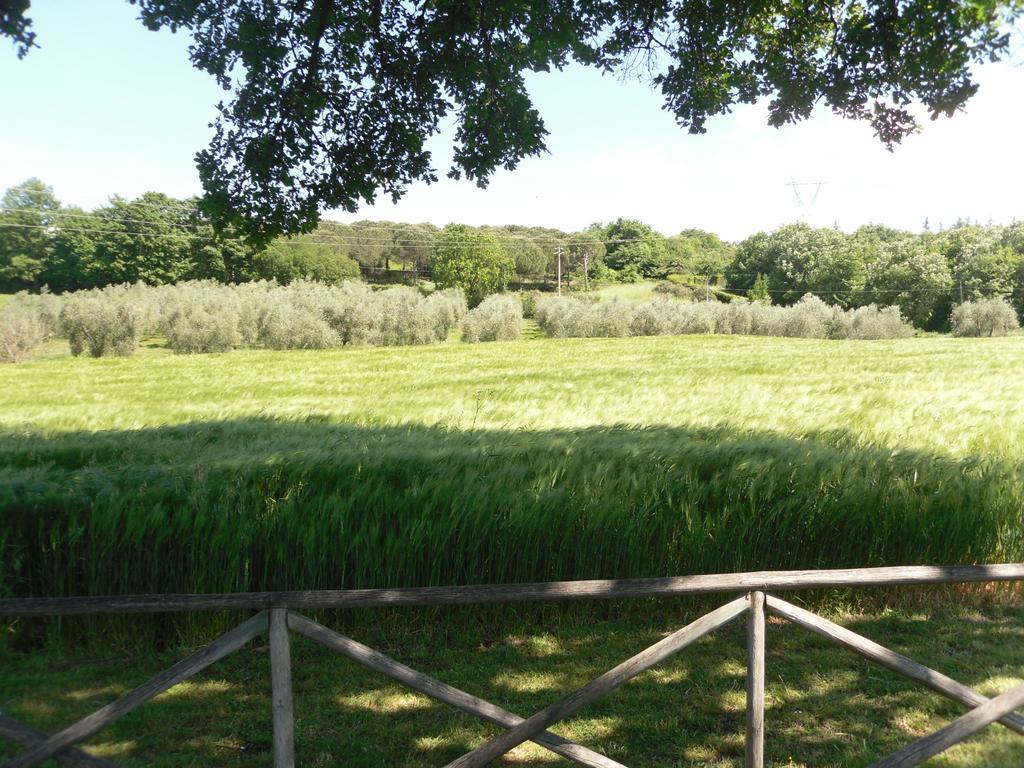 Il Giardino *